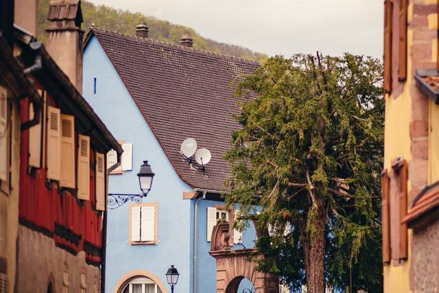 FELIX13 Kientzheim