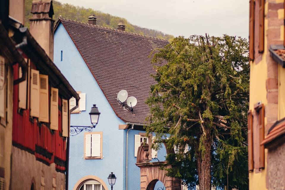 FELIX13 Kientzheim