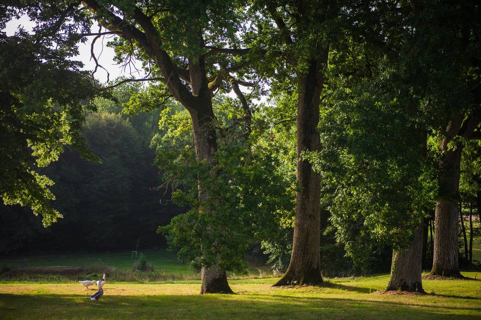 Parc