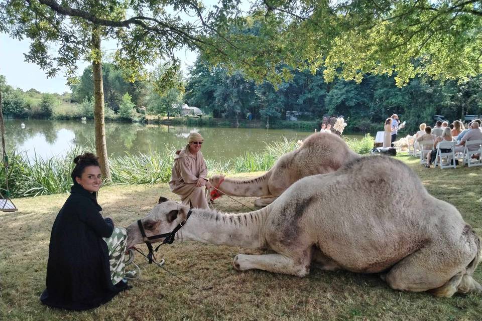 Mariage oriental