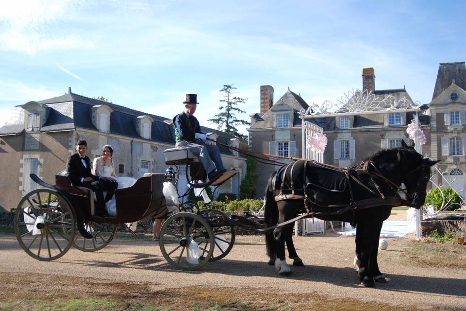 Calèche d'époque