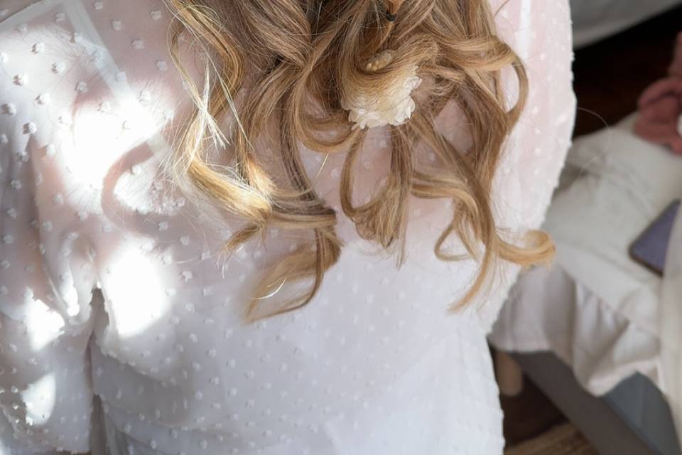 ✨