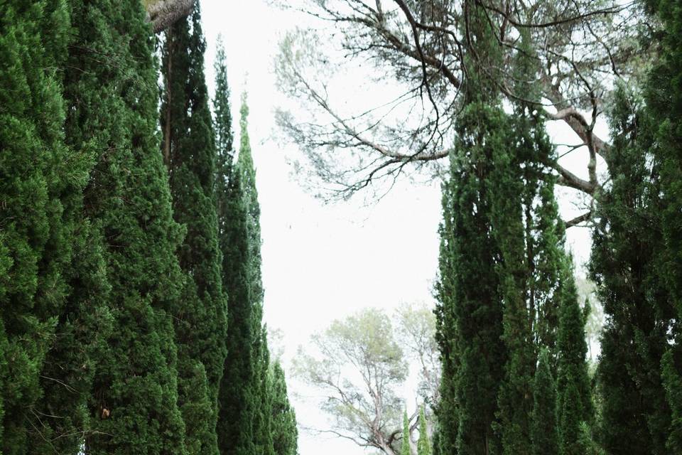 Chateau Martinay