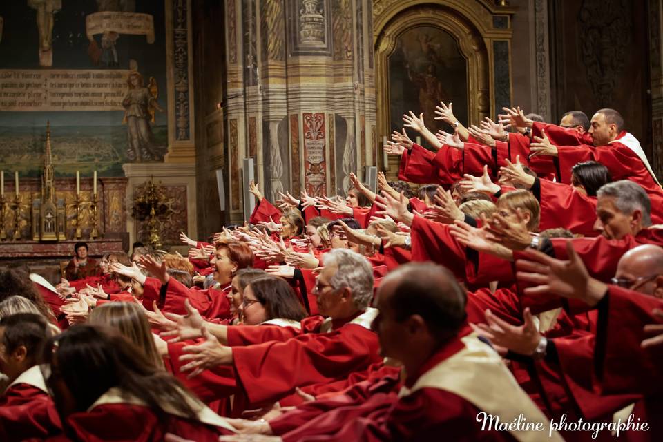 Concert Cathédrale Albi 2013