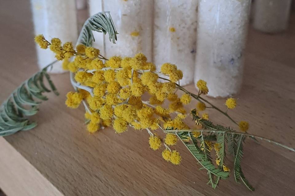 Sel des Pyrénées au mimosa