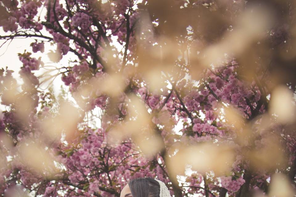 Séance photo au parc