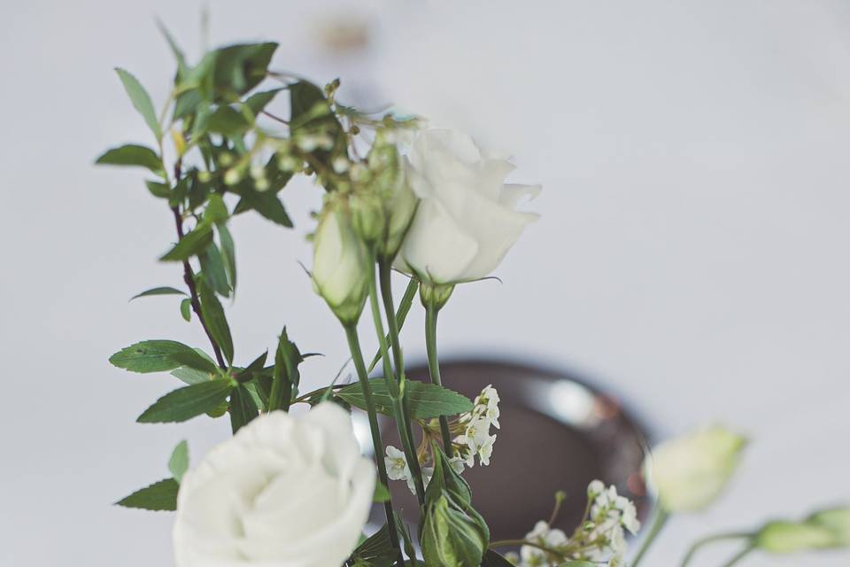 Roses de Marie Pétale