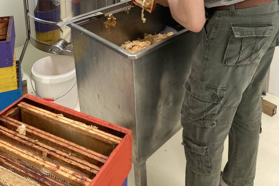 Désoperculation du miel