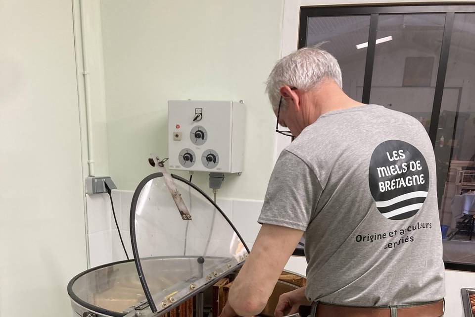 Extraction du miel