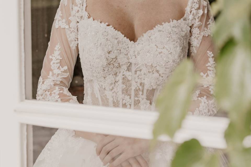 Photos
