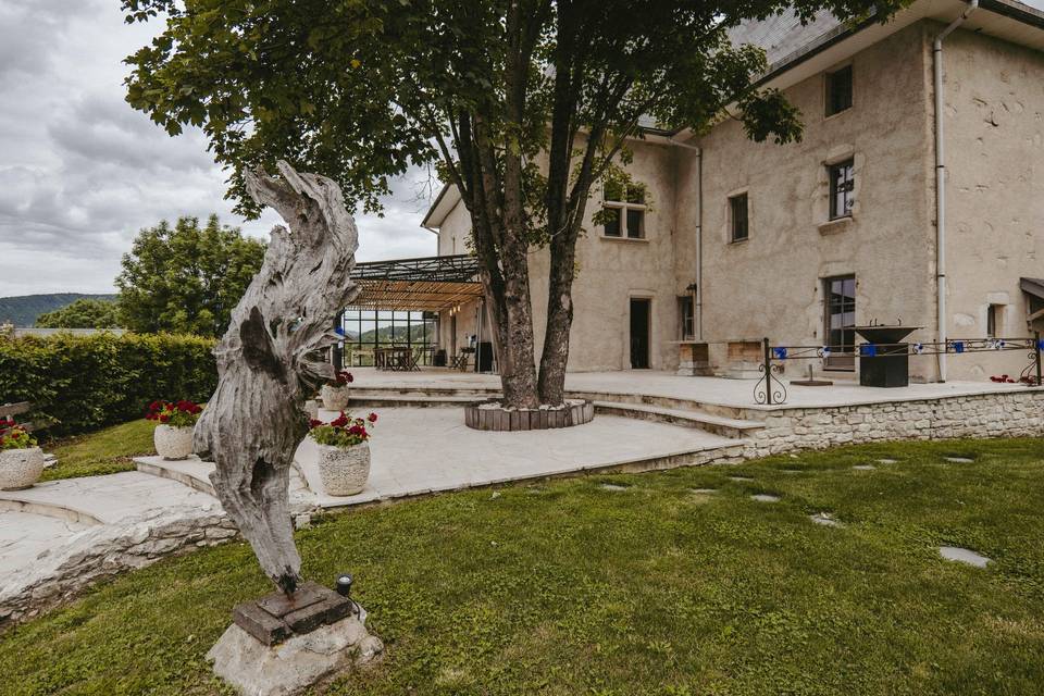 Un gros morceau d'arbre tordu