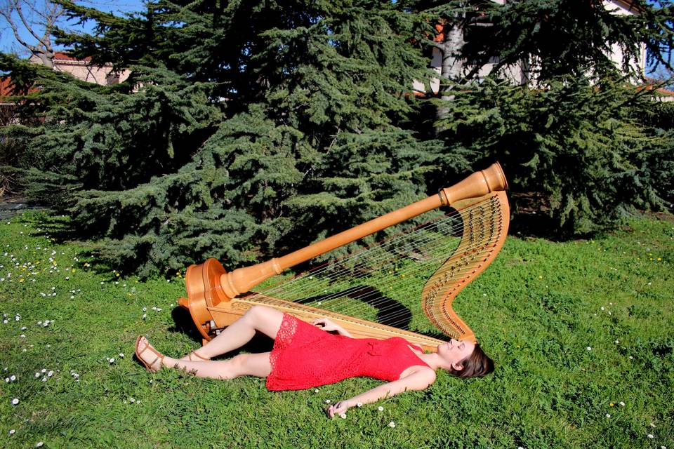 Harpe classique