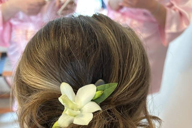Chignon