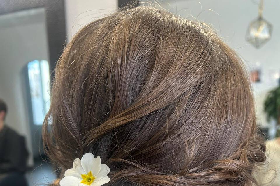 Chignon