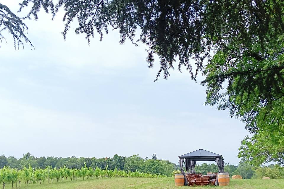 Château Lafleur de Quinsac