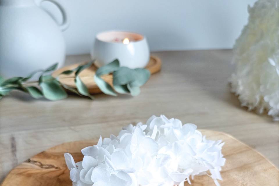 Peigne hortensia