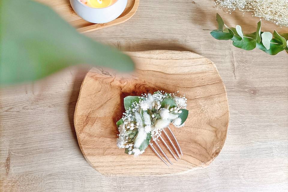 Peigne vert sauge