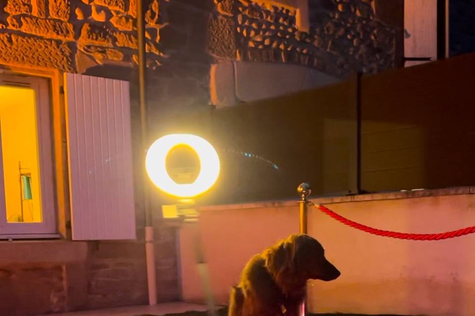 Lilie360