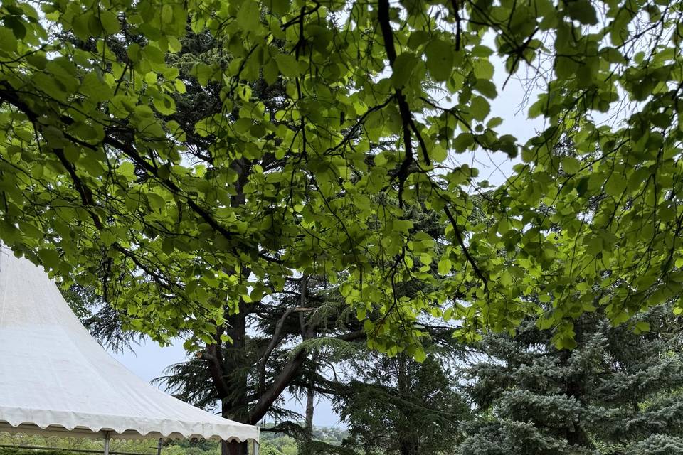 Parc.