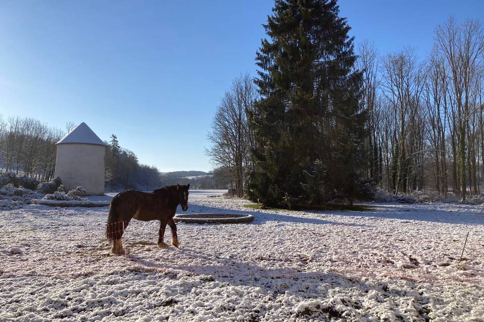 Quatre saisons au domaine