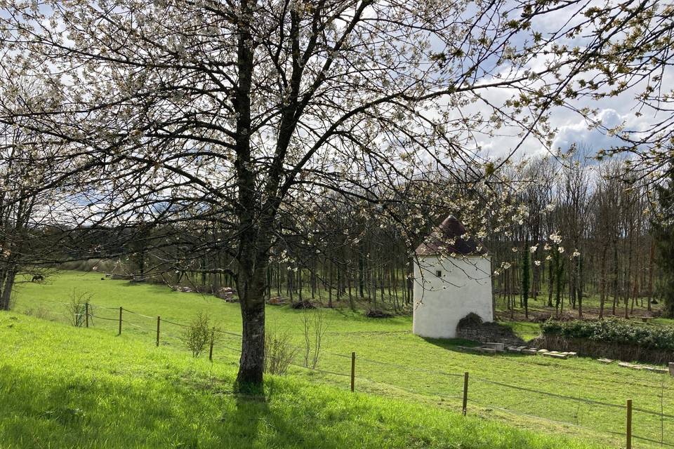 Quatre saisons au domaine
