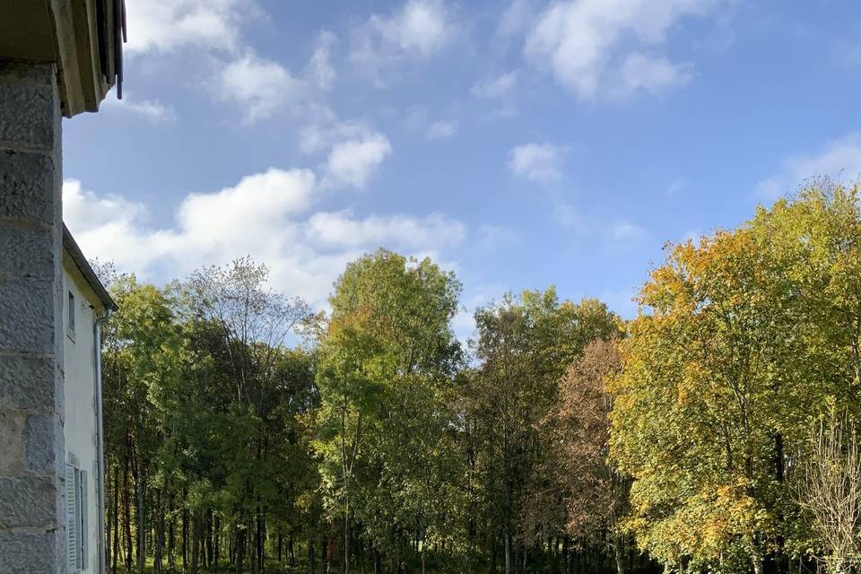 Vue de la terrasse en automne