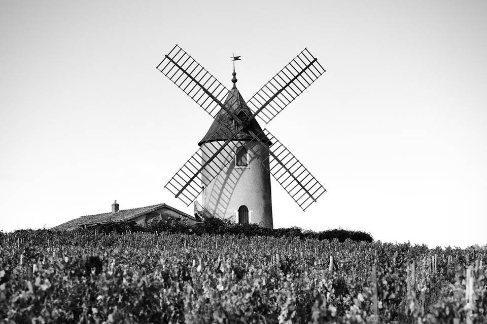 Moulin à vent