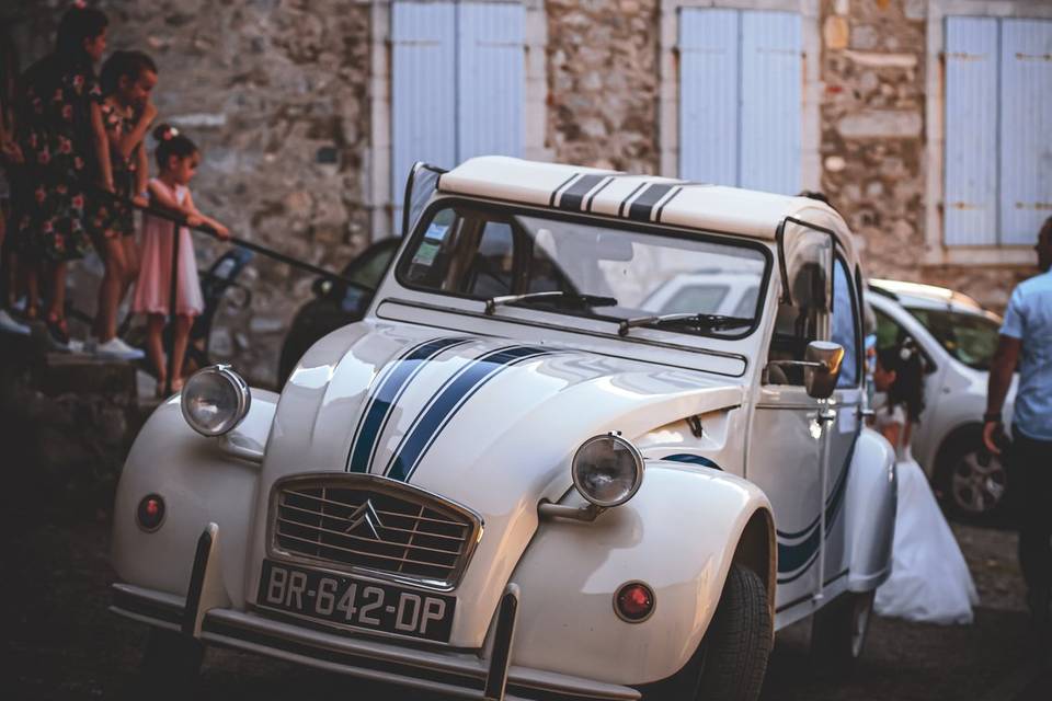 Vintage