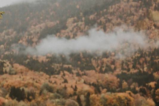Mariés en Automne