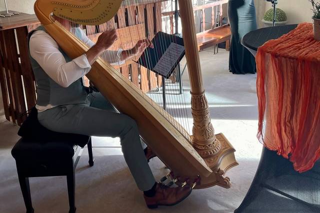 Prestataires : harpe et chant