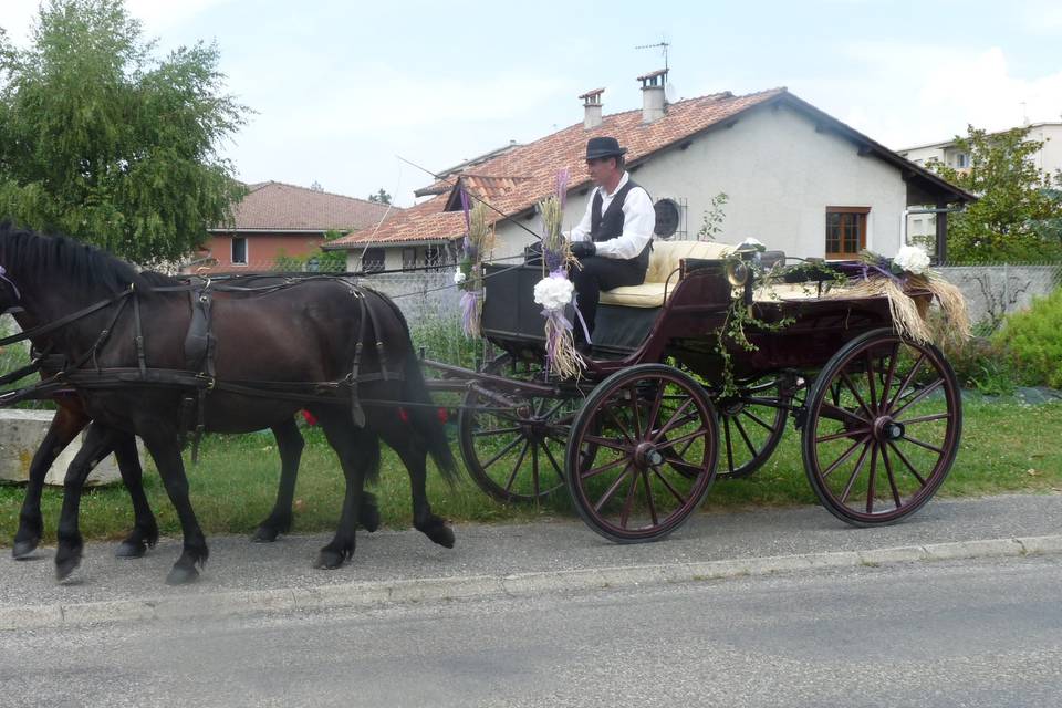 Les Attelages de la Bièvre