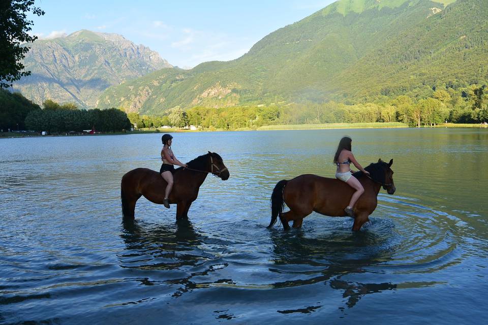 Baignade calèche Isère