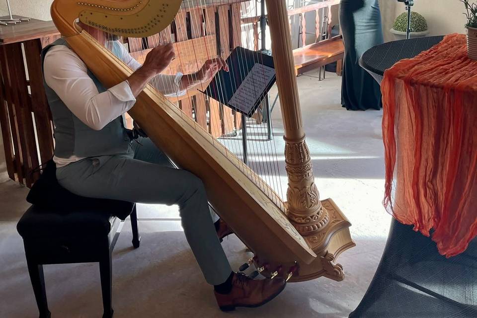 Prestataires : harpe et chant