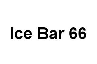 Ice Bar 66 - Bar à glace