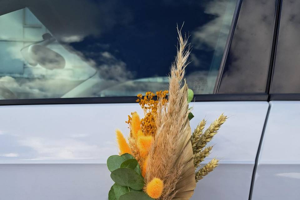 Décor de portière