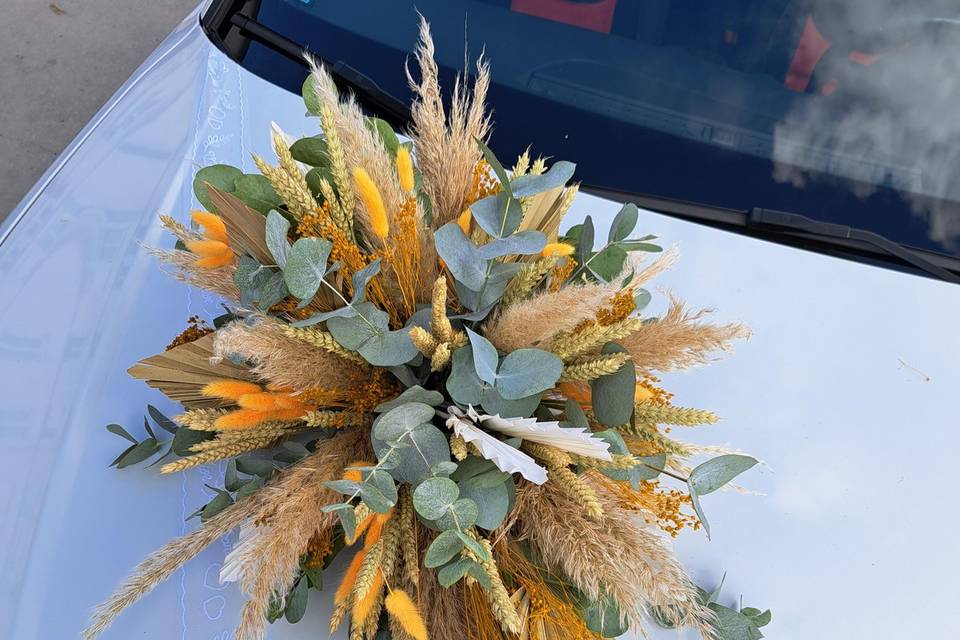 Décor de voiture