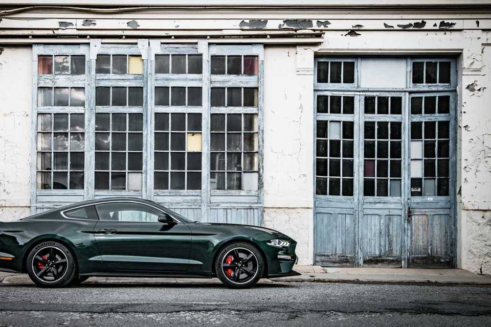 Mustang Passion