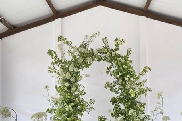 Arche vert