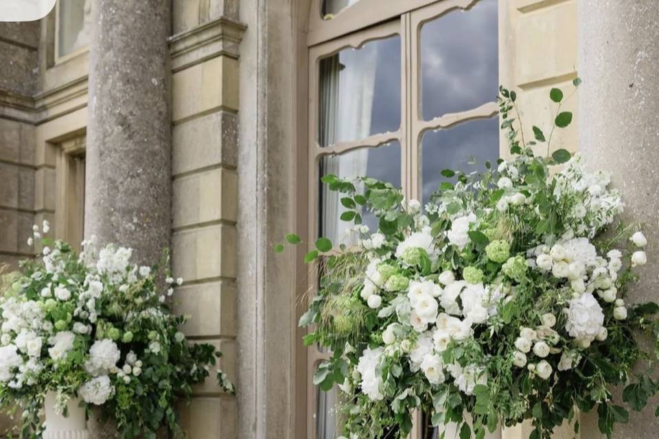 Fleurs Médicis 1500€