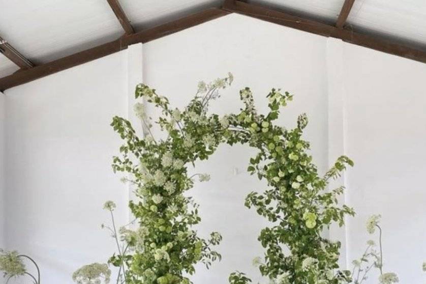 Arche vert