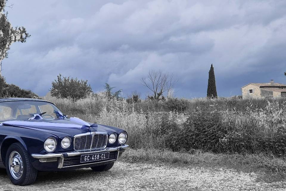 Jaguar XJ6