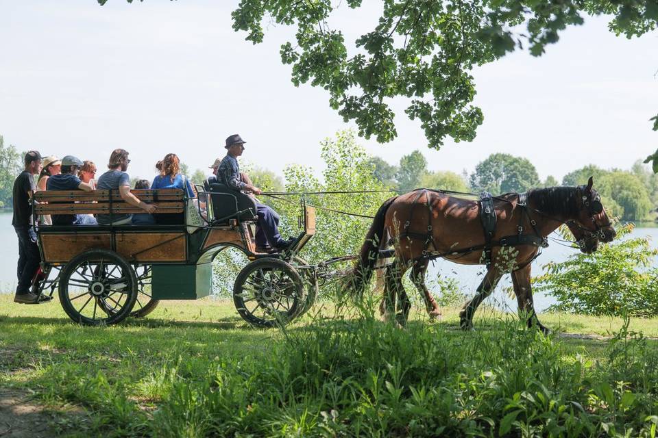 Cheval en Rênes