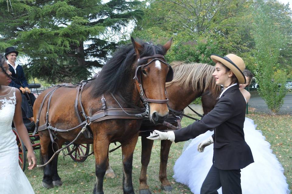 Cheval en Rênes