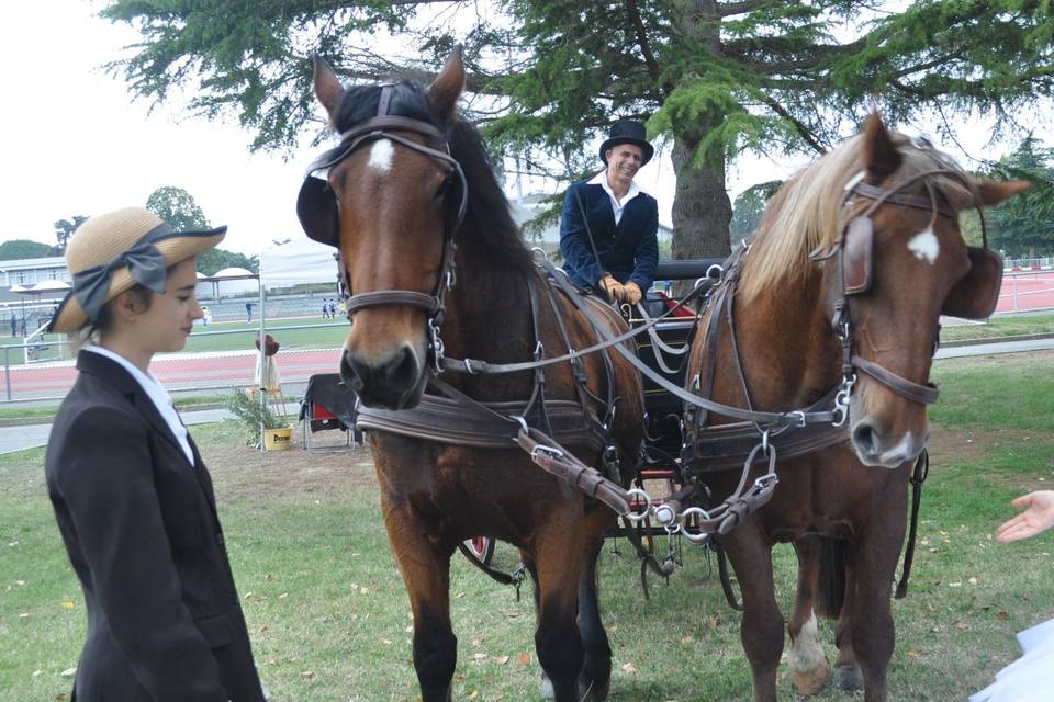 Cheval en Rênes