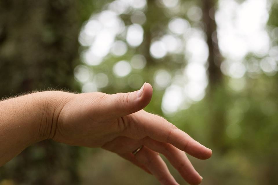 Savons gamme complète