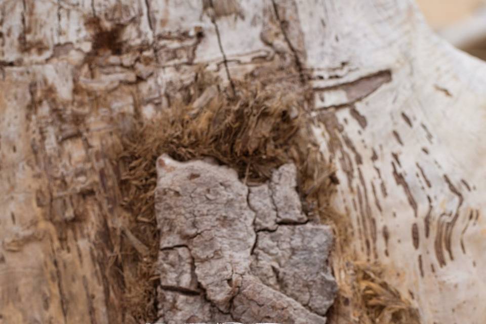 Terre sacrée