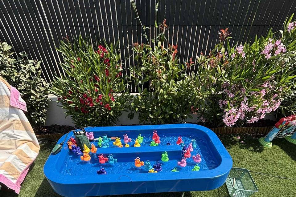 Pêche aux canards