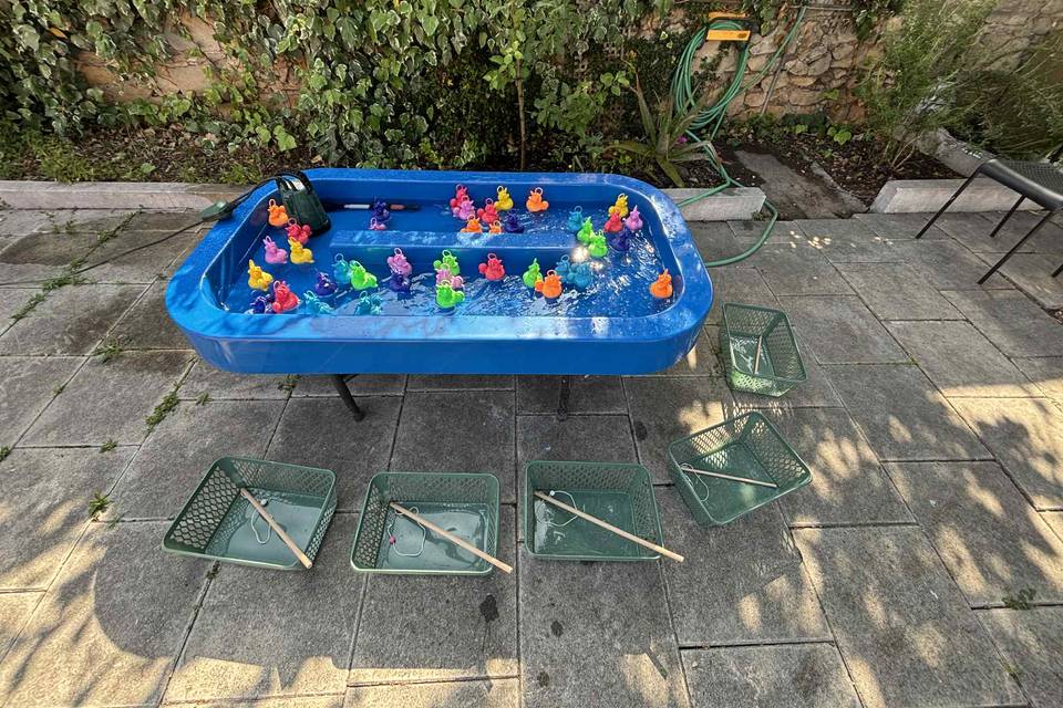 Pêche aux canards