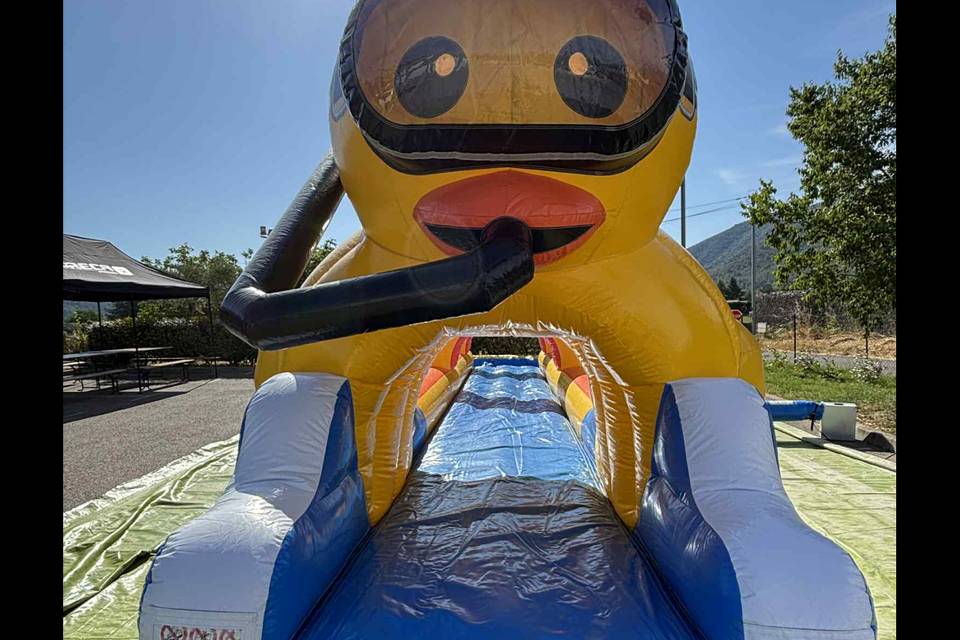 Ventriglisse - Canards express