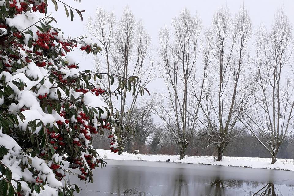 Le Charmay... en hiver aussi !